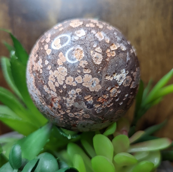 ๐ leopard Jasper Sphere ๐ - Picture 2 of 4